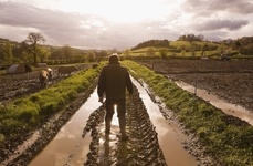 Droit rural et de l'entreprise agricole
